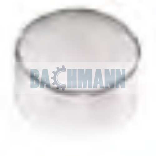 [125519] Caliper Steel Cap Ø 44/17 mm