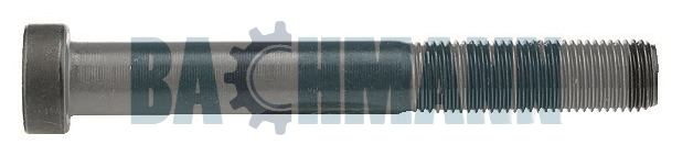 Caliper Bolt M12X1.25/95 mm