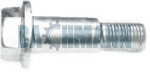 Caliper Bolt M16x55x20x1,5 mm