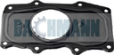 Caliper Cover Left